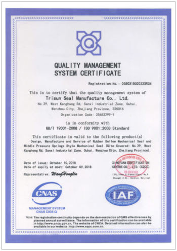 ISO 9001